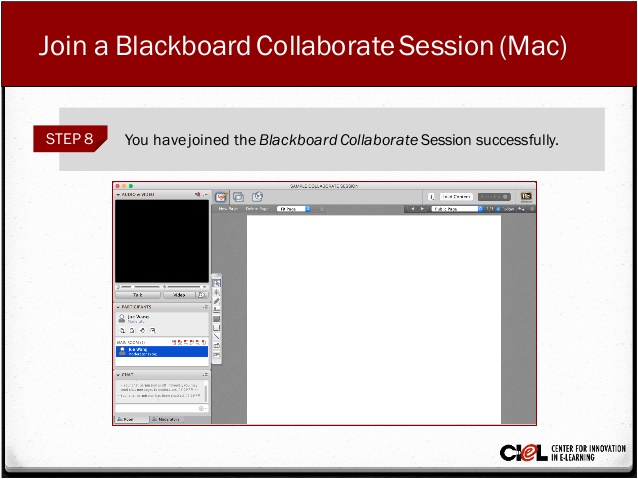 Download blackboard collaborate launcher free